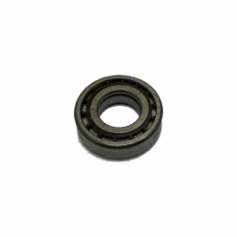 NUP 205 ECP - Bearing